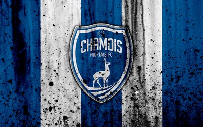 fc chamois niortais, 4k, logo, liga 2, stone textur, frankreich chamois niortais, grunge, soccer, football, club, chamois niortais fc