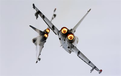 Eurofighter Typhoon, 4k, caccia tedesco, turbine, vista posteriore, aereo militare, aeronautica tedesca, BAE Systems