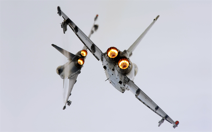 El Eurofighter Typhoon, 4k, combate alem&#225;n, turbinas, vista posterior, aviones militares de la Fuerza A&#233;rea alemana, BAE Systems