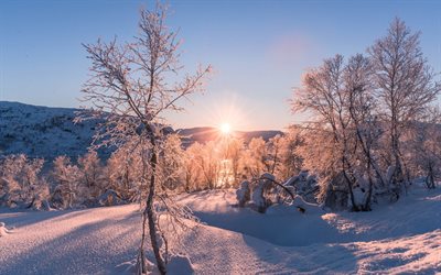 le matin, lever de soleil, hiver, neige, montagne, lac, beau paysage d&#39;hiver
