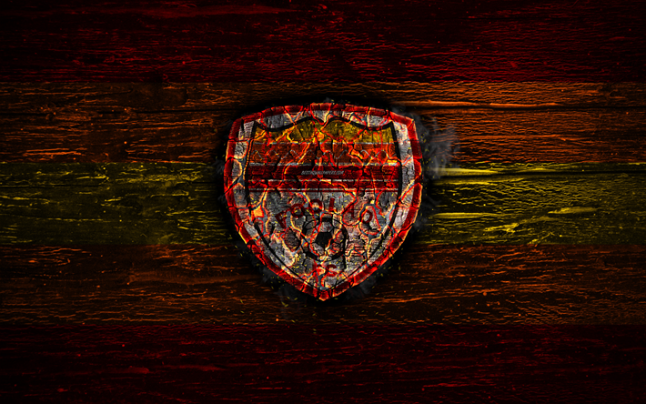 Foolad FC, el fuego logotipo, Golfo p&#233;rsico Pro League, las l&#237;neas roja y naranja, Iran&#237; de f&#250;tbol del club, el grunge, el f&#250;tbol, el Foolad logotipo, textura de madera, Ir&#225;n