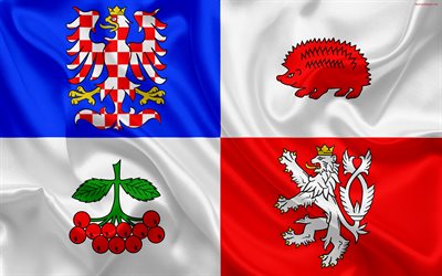 Flag of Vysocina Region, silk flag, 4k, Vysocina symbols official symbols, flags of administrative units, Czech Republic, Vysocina Region