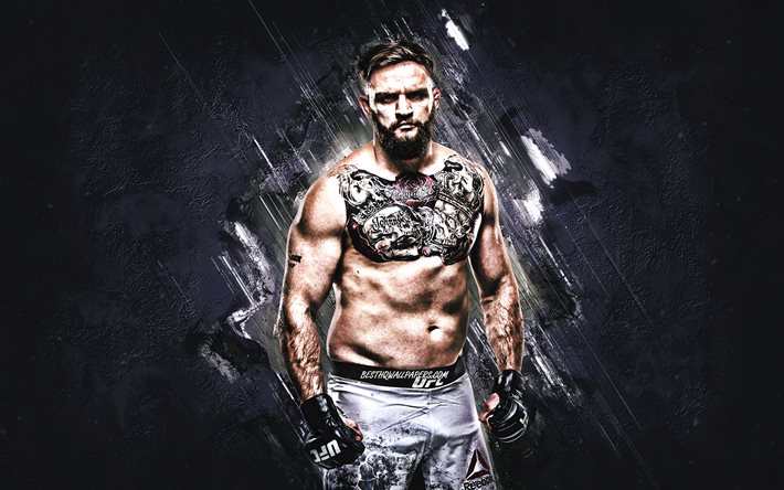 ジョンフィリップス, UFC, メタクリル酸メチル, ウェールズの戦闘機, 縦向き, 灰色の石の背景