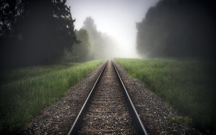 railway, morning, fog, railway in the forest, trees, rails, travel concepts