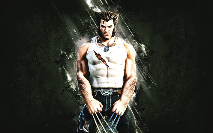 Fortnite Wolverine Logan Skin, Fortnite, huvudpersoner, gr&#229; stenbakgrund, Wolverine Logan, Fortnite-skinn, Wolverine Logan Skin, Wolverine Logan Fortnite, Fortnite-tecken, Wolverine
