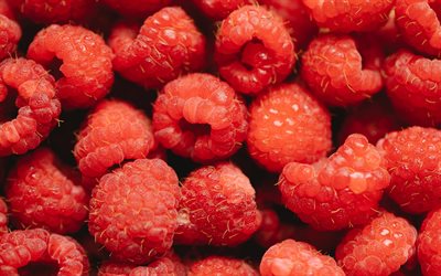 raspberry berries, texutra berries, raspberry background, berries background, raspberries