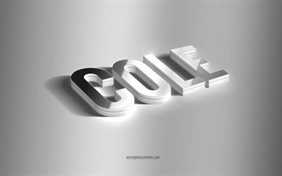 Cole, silver 3d art, gray background, wallpapers with names, Cole name, Cole greeting card, 3d art, picture with Cole name