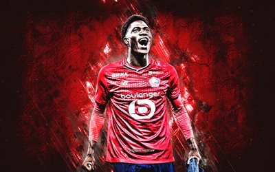 Amadou Onana, Lille OSC, Ligue 1, Belgian football player, midfielder, LOSC Lille, France, football, red stone background