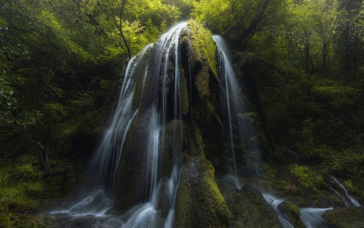 Skogen, vattenfall, rock, djungel, vackra vattenfall