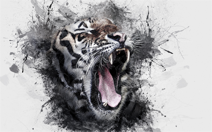 tiger, grunge, creative, art, watercolor