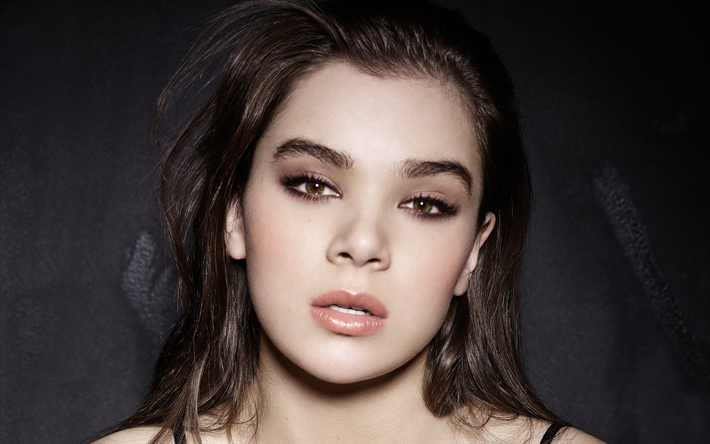 Download wallpapers Hailee Steinfeld, 2018, Hollywood, portrait