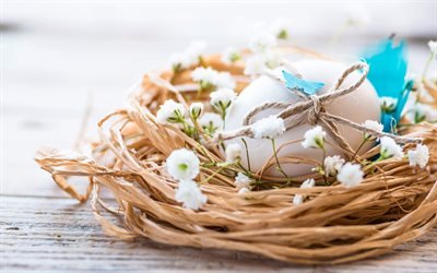egg in the nest, Easter, spring, willow, easter egg, decoration