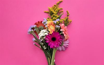 bouquet of spring flowers, gerbera, pink background, spring, beautiful bouquet of flowers