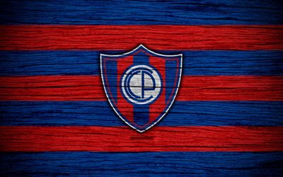 Cerro Porteno FC, 4k, Paraguayan Primera Division, logo, soccer, football club, Paraguay, Cerro Porteno, art, wooden texture, FC Cerro Porteno