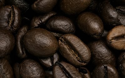 coffee beans, 4k, close-up, coffee