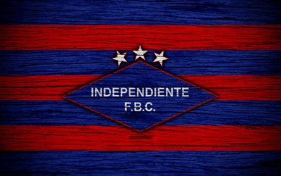 Independiente FC, 4k, Paraguayan Primera Division, logo, soccer, football club, Paraguay, Independiente FBC, art, wooden texture, FC Independiente