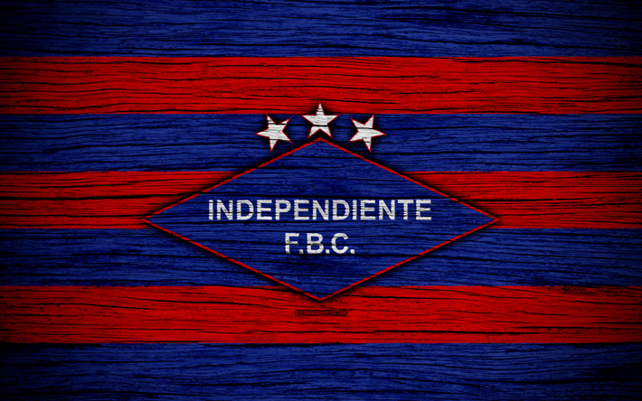 Independiente FC, 4k, Paraguayan Primera Division, logo, soccer, football club, Paraguay, Independiente FBC, art, wooden texture, FC Independiente