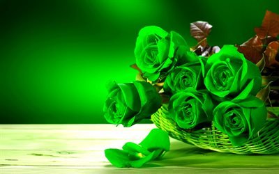 green roses, a bouquet of green flowers, roses, basket, bouquets