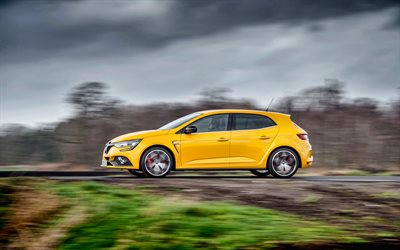 Renault Clio RS, 4k, motion blur, 2019 cars, yellow Clio, french cars, Renault