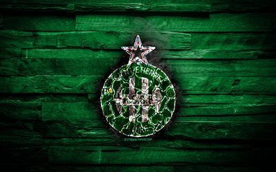 Saint-Etienne FC, fiery logo, Ligue 1, green wooden background, french football club, grunge, AS Saint-Etienne, football, ASSE, soccer, Saint-Etienne logo, fire texture, France
