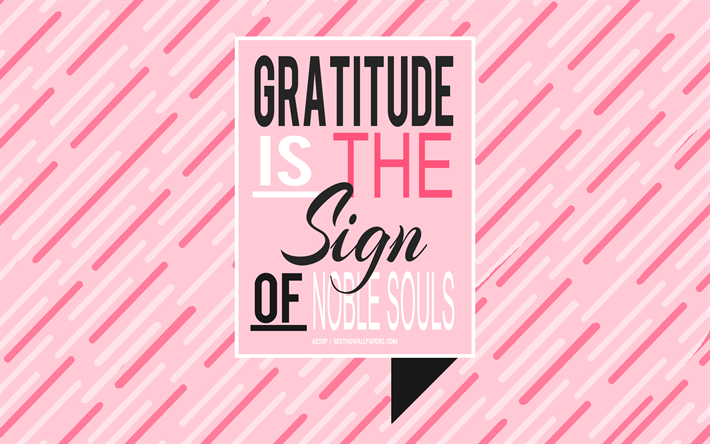 Gratitude is the sign of noble souls, Aesop quotes, pink background, creative art, motivation, inspiration, popular short quotes