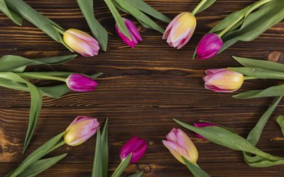 frame with tulips, wooden brown background, spring flowers, tulips on wooden background, frame of flowers