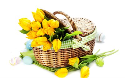 basket with yellow tulips, Easter eggs, white background, yellow tulips, spring, yellow flowers, Easter