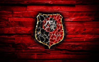 Stade Rennais FC, fiery logo, Ligue 1, red wooden background, french football club, grunge, Rennes FC, football, soccer, Stade Rennais logo, fire texture, France