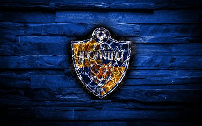 Ulsan Hyundai FC, logotipo fiery, K de la Liga 1, azul fondo de madera, corea del club de f&#250;tbol, el grunge, el f&#250;tbol, el Ulsan Hyundai logotipo, fuego textura, Corea del Sur