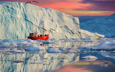 Greenland, glaciers, seagull, fishing schooner, sunset, red boat, beautiful nature, expedition