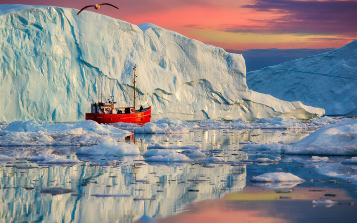 groenlandia, glaciares, gaviotas, goleta de pesca, puesta de sol, barco rojo, hermosa naturaleza, expedici&#243;n