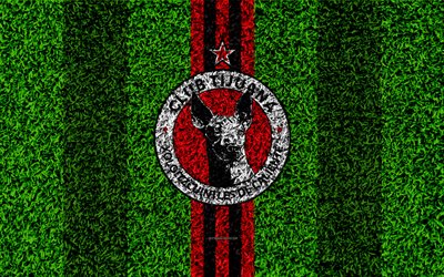 Club Tijuana, 4k, football de la pelouse, le logo, les Mexicains du club de football, l&#39;embl&#232;me, le rouge trait noir, Primera Division, Liga MX, texture d&#39;herbe, de Tijuana, au Mexique, le football, le FC Tijuana