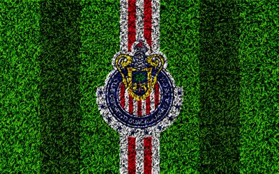 CD Guadalajara, 4k, football lawn, logo, Mexican football club, emblem, red white lines, Primera Division, Liga MX, grass texture, Guadalajara, Mexico, football, Guadalajara Chivas FC