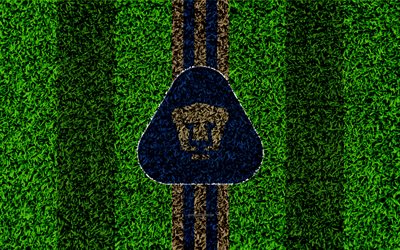 Pumas de la UNAM, Club Universidad Nacional, 4k, football lawn, logo, Mexican football club, emblem, gold blue lines, Primera Division, Liga MX, grass texture, Mexico City, Mexico, football, Pumas FC