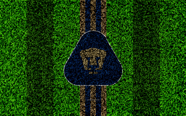 Pumas de la UNAM, el Club Universidad Nacional, 4k, f&#250;tbol de c&#233;sped, logotipo, Mexicana de f&#250;tbol del club, con el emblema de oro de l&#237;neas azules, Primera Divisi&#243;n, Liga MX, el c&#233;sped de textura, de la Ciudad de M&#233;xico