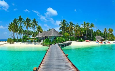 tropical island, beach, bungalows, Maldives, boats, palm trees, summer travel