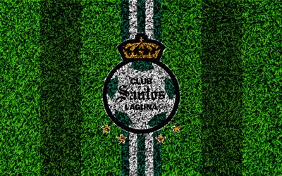 Santos Laguna, 4k, football lawn, logo, Mexican football club, emblem, green white lines, Primera Division, Liga MX, grass texture, Torreon, Mexico, football