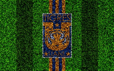 Tigres UANL, 4k, futebol gramado, logo, Mexicana de futebol do clube, emblema, amarelo azul linhas, Primeira Divis&#227;o, Liga MX, grama textura, Monterrey, Mexico, futebol, Tigres FC