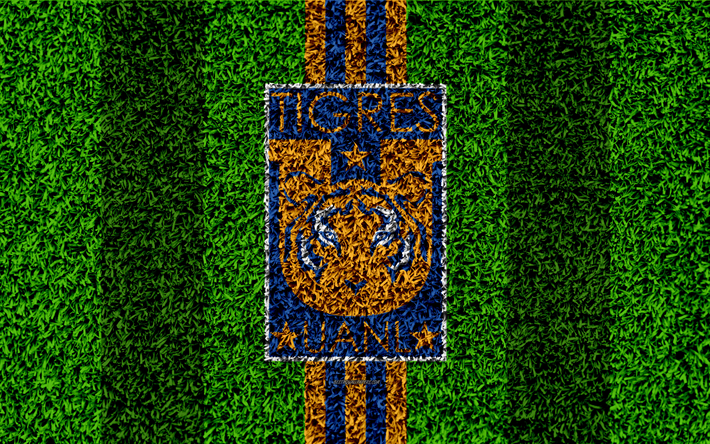 Tigres UANL, 4k, football lawn, logo, Mexican football club, emblem, yellow blue lines, Primera Division, Liga MX, grass texture, Monterrey, Mexico, football, Tigres FC