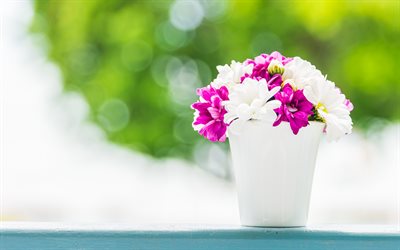 kev&#228;&#228;ll&#228; kimpussa, violetti valkoisia kukkia, maljakko, kev&#228;t, kauniita kukkia