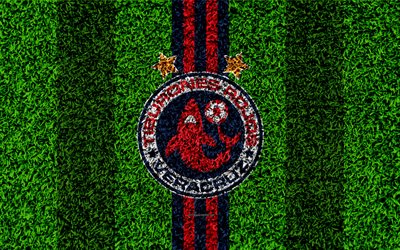 Veracruz FC, 4k, football lawn, logo, Mexican football club, emblem, red blue lines, Primera Division, Liga MX, grass texture, Veracruz, Mexico, football, Tiburones Rojos de Veracruz