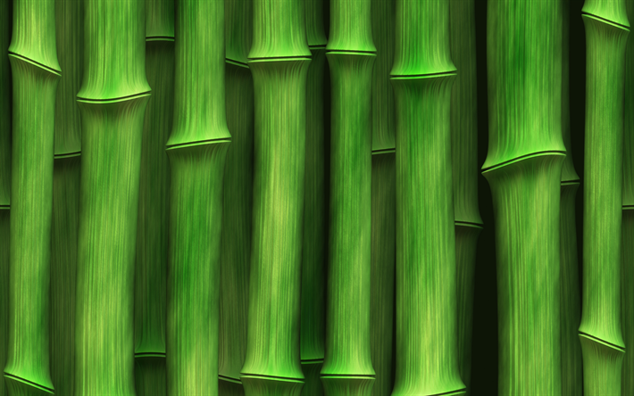gr&#252;ner bambus textur, makro, bambus-texturen, bambus, bamboo -, gr&#252;n-holz-hintergrund