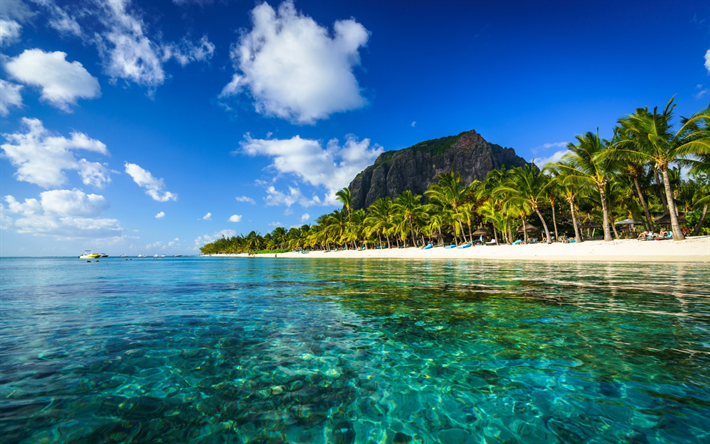 Le Morne Brabant, Indian Ocean, Mauritius, azure lagoon, beach, tropical island, ocean, palms, summer travel concepts