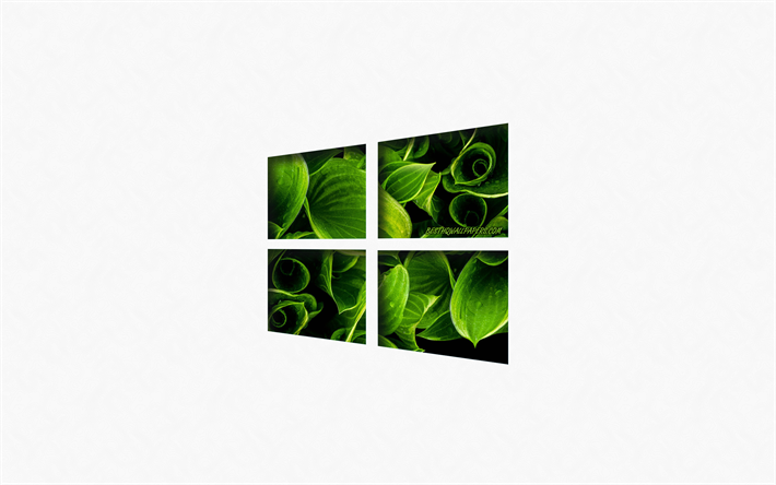 Windows 10, verde eco logotipo, emblema, arte criativa, Windows, logo, folhas verdes, fundo branco