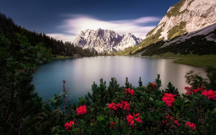 eeben Lake, summer, mountains, beautiful nature, Alps, Seebensee, Austria, Europe