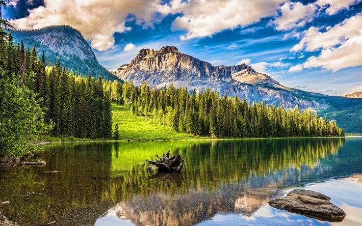 Emerald Lake, 4k, North America, mountains, forest, Banff National Park, summer, Canada, Alberta, Banff, beautiful nature