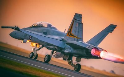 Boeing FA-18EF Super Hornet, back view, Royal Australian Air Force, attack aircraft, combat aircraft, Australian Army, Boeing