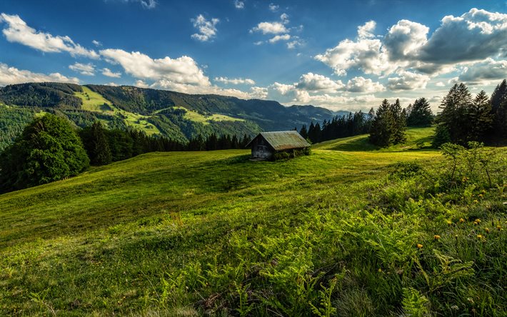 Alemanha, 4k, ver&#227;o, prado, montanhas, Baviera, HDR, bela natureza
