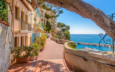 Monaco, Mediterranean sea, summer, coast, seascape, buildings, Monaco cityscape