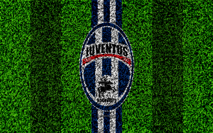 FC Juventus Bucuresti, 4k, logo, calcio prato, rumeno football club, blu, bianco, linee, erba texture, emblema, Liga I, Bucarest, Romania, calcio